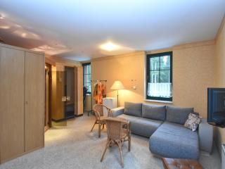 Apartment in Saxony with balcony, cleaning included - Jägersgrün - 6