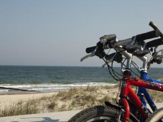 Apartment in Pepelow near Sandy Beach, cleaning included - Pepelow - 7
