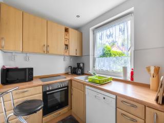 Apartment in Dresden with pool in the garden, cleaning included - Dresda - 7