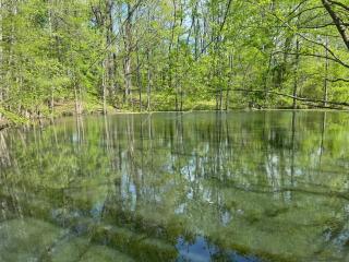 USA Stadium-9 acres 4 bed 2 bath Pond-Barn Mirimichi Golf - 4