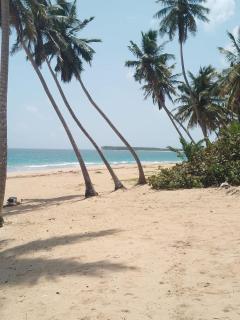 Punta cana life - Punta Cana - 8