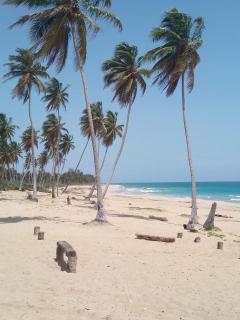 Punta cana life - Punta Cana - 7