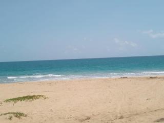 Punta cana life - Punta Cana - 4