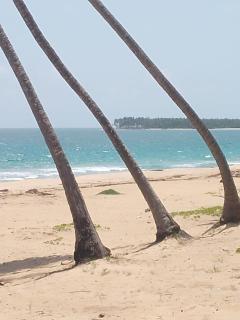 Punta cana life - Punta Cana - 2