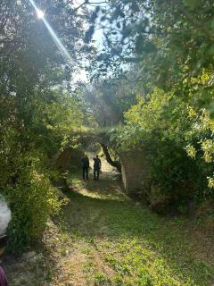 Kaizer Agrotourism - Amargeti - 6