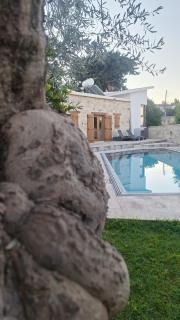 Kaizer Agrotourism - Amargeti - 7