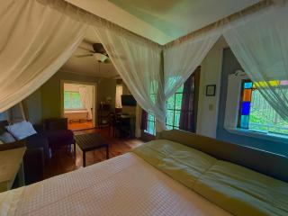 Fabulous Downtown Studio - Eureka Springs - 5