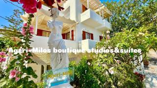 Deluxe Studios & Suites Ageri-Milos - 9