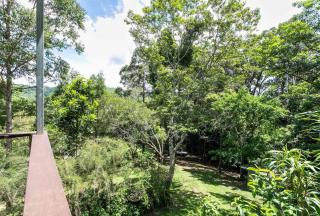The Wicker Rainforest Retreat - Peace Privacy and Nature - Kin Kin - 7