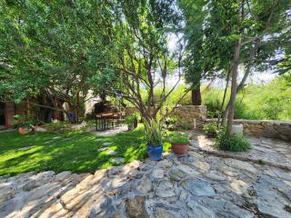 Secret Moon Guesthouse - 3