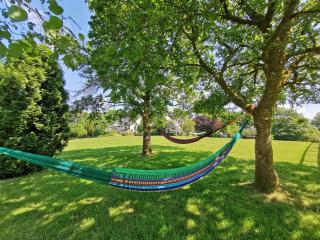 Beech Lodge - 3 Bedroom Chalet With Private Hot Tub - Llanfyrnach - 5