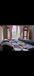The Himalayan vibe - 4