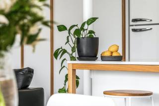 Sanctuary Spaces - Lomani Six - 2