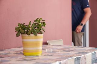 Homely Escape 2 - Quios - 1