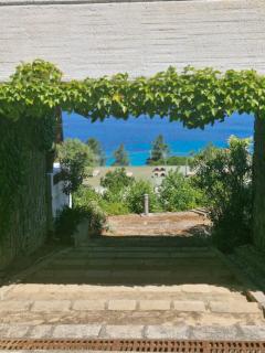 La villa Timeo - Pietrosella - 7