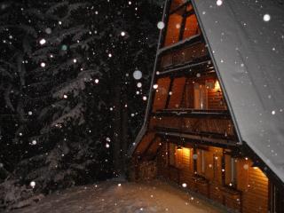 Holiday Home Tirol - Vlasic - 3