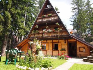 Holiday Home Tirol - Vlasic - 1