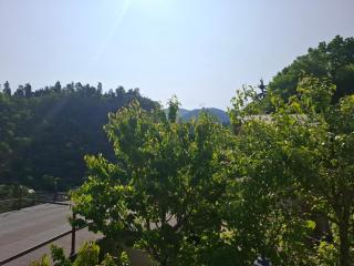 Borjomi Nest 2 - Bordschomi - 6