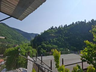 Borjomi Nest 2 - Bordschomi - 7