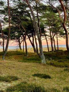Holiday Home Near The Beach Perfect For Relaxing - Neksø - 0