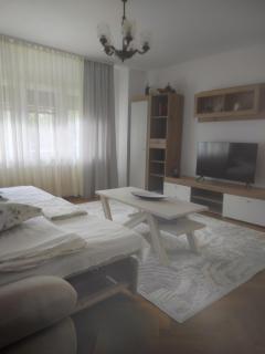 Odobescu flat, Big long term dicount - Timişoara - 9