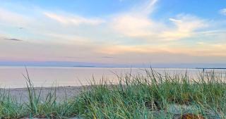 Spacious Villa In The Countryside Near The Beach - Fakse Ladeplads - 8