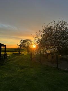 Glamping Mangoeste - Zedelgem - 3
