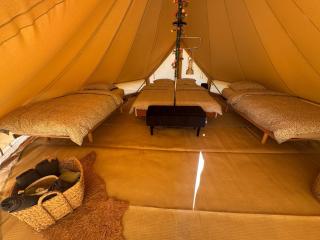 Glamping Mangoeste - Zedelgem - 4