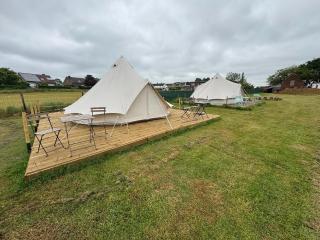 Glamping Mangoeste - Zedelgem - 7