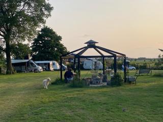 Glamping Mangoeste - Zedelgem - 8