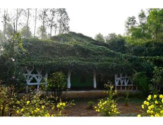 Desia Duduma, Puri - - 0