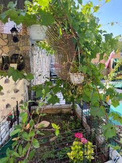 Apartmani Žak - Pridraga - 9