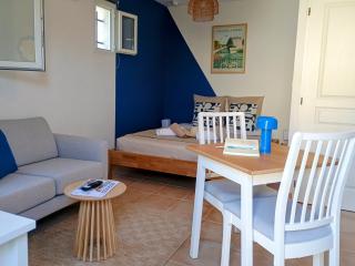 Studio Spa & Garden - LʼIsle-sur-la-Sorgue - 8