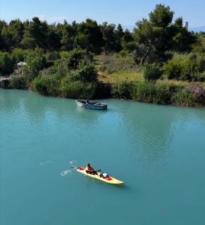 Juniperus Village House - Vlora - 7