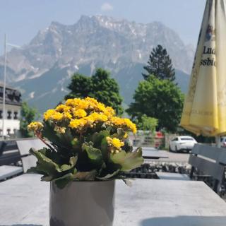Pension Garni Hochmoos - Lermoos - 8