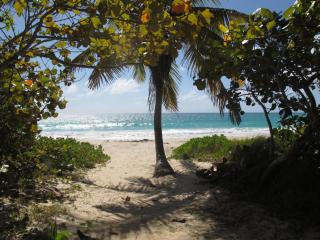 Esperanza Inn Guesthouse - Vieques - 4