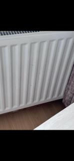 Zukz Haven - Luton - 2