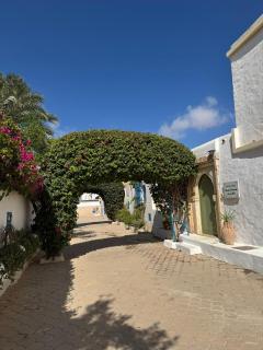 Riadh Ancora Mar Authentic Djerbienne villa - 4