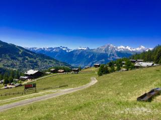 Pracondu 2 102 - OUTDOOR & FUN charming apartment - Nendaz - 2