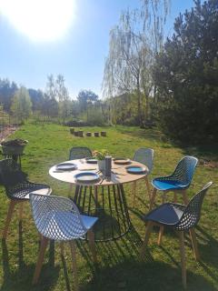 Ulinia Wilcza 4 niebieski - 8