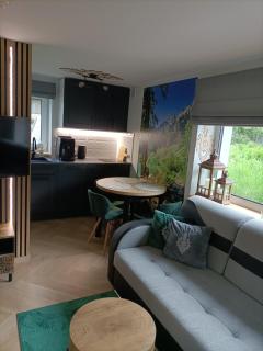 Apartament Zacisze w Białym Dunajcu, Sauna, Kominek, Bezpłatny parking - Biały Dunajec - 1