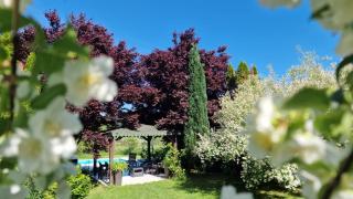 Residence Green Pool & SPA - Visoko - 9
