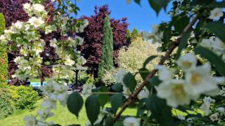 Residence Green Pool & SPA - Visoko - 5