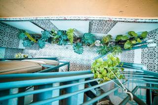 NỘI New 1BR Kitchen Balcony D1 - Ho Chi Minh - 3