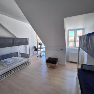 Princessen på ærten - Odense - 8