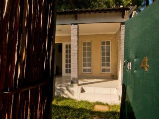 MuZeeAno - Johannesburgo - 1