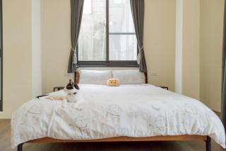 聽故事台南民宿 有貓的民宿 - 8