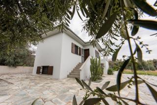 The Olive Home - Koropi - 0