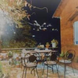Roses Homestay- Venuestay - Tam Ðảo - 4
