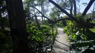 Ming Shan Villa - Dashu - 6